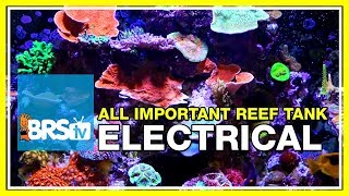 Week 6 Wiring Your Reef Tank Everything You Forgot to Think About  52 Weeks of Reefing [upl. by Shaina]