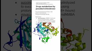 Drugs metabolized by pseudocholinesterase [upl. by Aneeh]