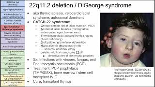 Primary immunodeficiency disorders [upl. by Chivers402]