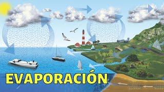 La EVAPORACIÓN explicada método de separación vaporización ciclo del agua ejemplos🌞 [upl. by Tyrus]