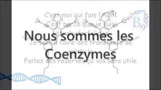 Nous sommes les Coenzymes [upl. by Blanka]