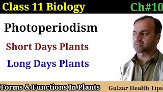 Photoperiodism  Short days plants  Long days plants  Day neutral plants  class 11th Biology [upl. by Redd]