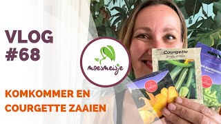 MOESTUIN VLOG 68  Komkommer en courgette zaaien wortel en bladgewassen zaaien tuinboon planten [upl. by Theobald]