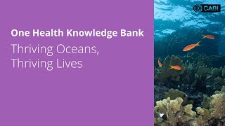 CABI One Health Knowledge Bank webinar Thriving Oceans Thriving Lives [upl. by Carthy409]