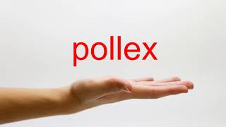 How to Pronounce pollex  American English [upl. by Hobie]