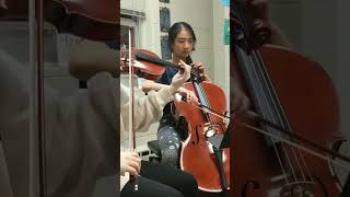 Beautiful Duet Music for Violin and Cello shorts violinandcelloduet [upl. by Crowley]