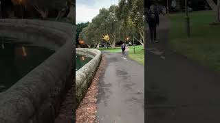 Enjoying the calmness Rushcutters Bay park in Sydney Australia [upl. by Seth]