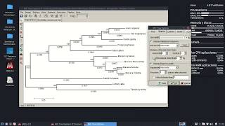 10 Edicion de Arboles  MEGA [upl. by Dunning]