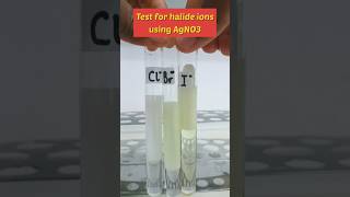 Test For Halide ions using Silver Nitrate  AgNO3shortsscience [upl. by Ellswerth]