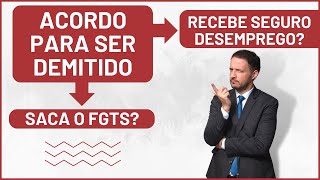 Acordo Trabalhista recebe FGTS e SEGURO DESEMPREGO [upl. by Loy]