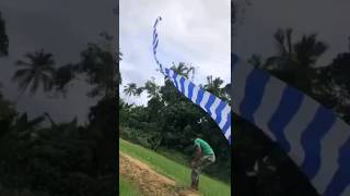 Snake kite sri lanka [upl. by Tram]