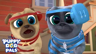 Up and at Em  Puppy Playcare  Puppy Dog Pals  Disney Junior [upl. by Chapell]