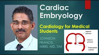 Cardiac Embryology  Cardiology for Medical Students [upl. by Rialc364]