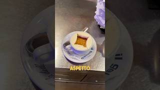 L’affogato al caffè più famoso del Mondo food [upl. by Aihseuqal755]