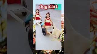 Dog cart funny [upl. by Ardnayek]