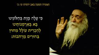 Klausenburg Rebbe The Shefa Chaim Crying Through The Haftorah of 9 Av 5734 [upl. by Kellby]