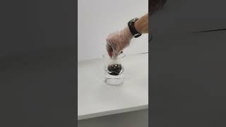 Silver Mirror Bauble  Tollens Reagent Experiment [upl. by Hachmann]