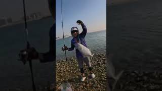 Kitik este kitok ty megastrike sa pag video fish filipinoanglers instafish followers [upl. by Hefter]