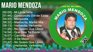 Mario Mendoza 2024 MIX Las Mejores Canciones  Mi Linda Niña Corazoncito Dónde Estás Mariposit [upl. by Minni]