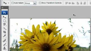 Adjust Image Resolution in Photoshop CS3 [upl. by Farny]