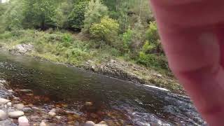 River Findhorn Salmon Scotland Fly Fishing [upl. by Aicatsana]