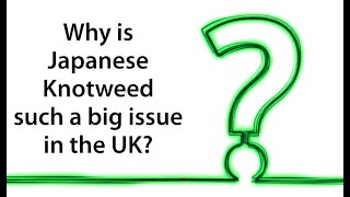 Why is Japanese Knotweed such a big issue in the UK by Japanese Knotweed Agency amp Peter Baker [upl. by Kwarteng]