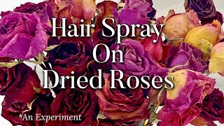 Hair Spraying Dried Roses Is it worth it [upl. by Albric]