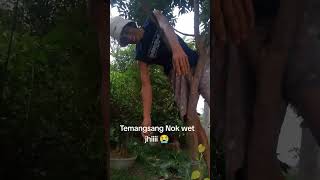 Temangsang mas 😭fypシ゚viral shortvideo vlog subscribe moviesfidiolucu spiderman [upl. by Launce98]