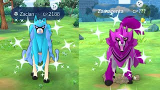 How to get shiny zacian amp zamazenta in pokemon go [upl. by Hafler]