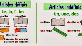 Definite and Indefinite articles in french [upl. by Ardnoel]