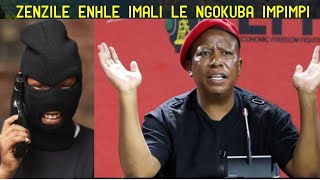 Uzogixabeza ngezindimbane zemali abazompimpa abathumbile babulala u Malema uqeda ubugebengu nge EFF [upl. by Idihsar]