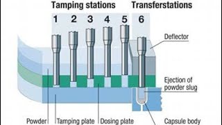 Pistontamp principle  Dosingdisc machine Tampingpin [upl. by Onairotciv470]