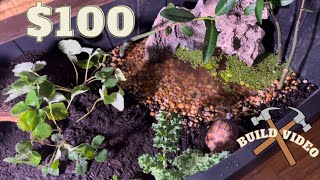 MASSIVE Indoor Box Turtle Habitat [upl. by Bensen]