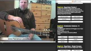 FlamencoLessonscom  Flamenco Guitar Lessons Part 1 [upl. by Ainerbas536]