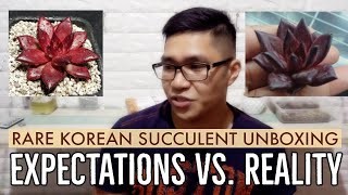 Rare Korean Succulent Unboxing  Expectations vs Reality [upl. by Islean]