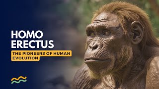 Homo Erectus The Pioneers of Human Evolution AUDIOBOOK  Homo Erectus  Ancient Human [upl. by Eneleoj]