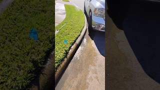 Pulled up 🚛 Major sprinkler leak💦 by the curb 🛣️ 😲 outdoors fails 101 satisfying nature howto [upl. by Luckin]