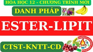 HÓA 12 MỚI  ESTER  LIPIT  GỌI TÊN CÁC CHẤT TRONG SGK CTSTKNTTCÁNH DIỀU CHƯƠNG TRÌNH MỚI [upl. by Aloeda108]