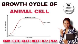 Growth Cycle Of Animal Cell Culture  MSc Classes  Types with Diagrams  Cell Culture [upl. by Yt134]