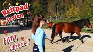 Offenstall Vlog 🍁Reitpad testen 🍁wie schlau sind unsere Pferde Intelligenz Test 😂 Einstreu holen 🍁 [upl. by Darnall]