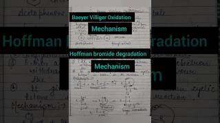 baeyer Villiger Oxidation and Hoffman bromide degradation chemistry shorts 1000subscriber [upl. by Streeter]