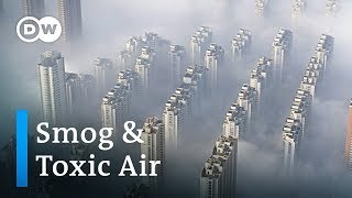 How much does smog and air pollution shorten our lives  DW News [upl. by Aened]