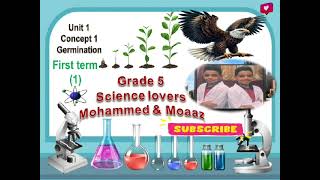 science grade 5 lesson 2 concept 1 Germination [upl. by Vaios]