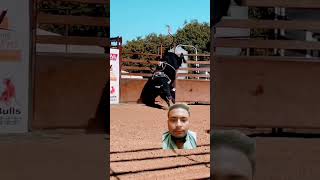 cow cowdog rodeo cowboylife cattle cowboylifestyle cowboys ranching horse music [upl. by Ahmar]