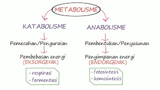 METABOLISME PART 1 ENZIM [upl. by Eslud]