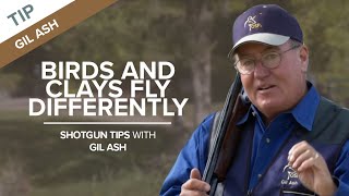 Birds and Clays Fly Differently  Shotgun Tips with Gil Ash [upl. by Lekzehcey302]