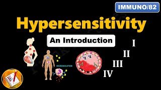 Hypersensitivity  I II III IV An Introduction FLImmuno82 [upl. by Tate]