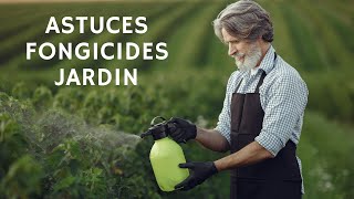 ASTUCES FONGICIDE MAGIQUE POUR LE JARDIN [upl. by Feeley]