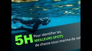 Meilleurs spots de chasse sous marine [upl. by Trstram807]