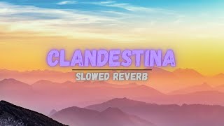 CLANDESTINA SONG SLOWED REVERB  BASS BOOSTED  clandestinas MRINFINITRIX [upl. by Arok289]